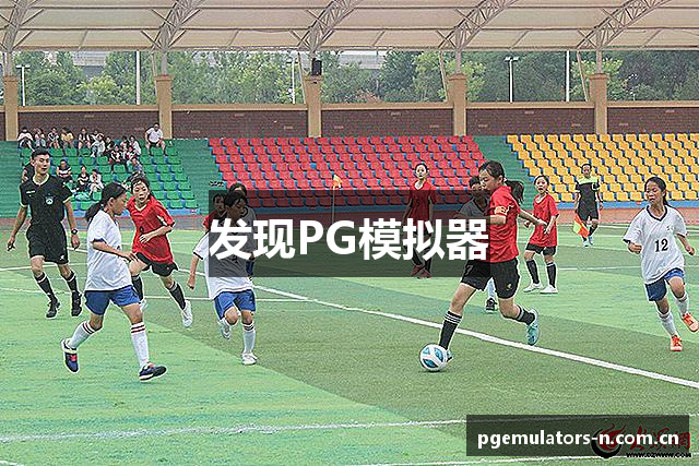 发现PG模拟器
